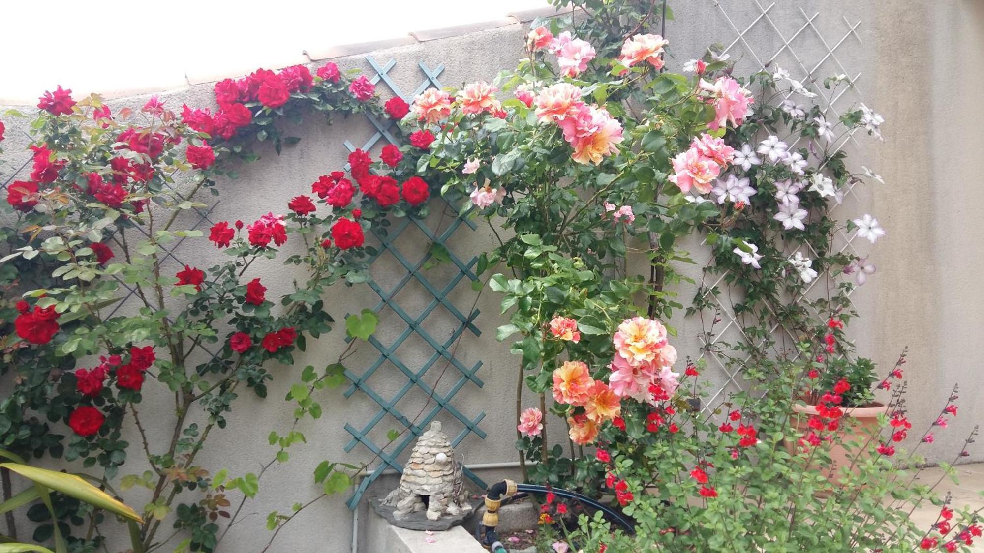 Au Bon Penequet Bed & Breakfast Pujaut Exterior photo